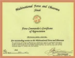 CARE-SERVICES-CERTIFICATES (2)